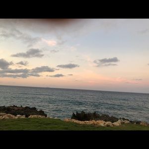 Meet your Posher, Ann